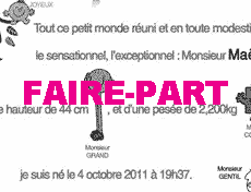 Faire-part