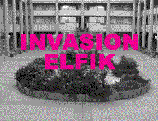 Invasion elfik